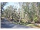 890 Burragate Road, Wyndham NSW 2550