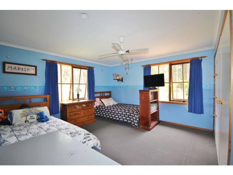 313 Back Creek Road, Nethercote NSW 2549