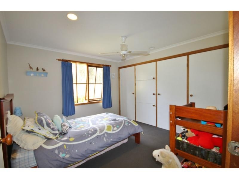 313 Back Creek Road, Nethercote NSW 2549