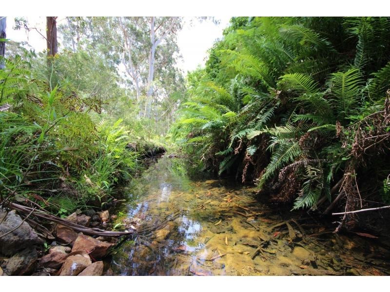 313 Back Creek Road, Nethercote NSW 2549