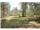 313 Back Creek Road, Nethercote NSW 2549