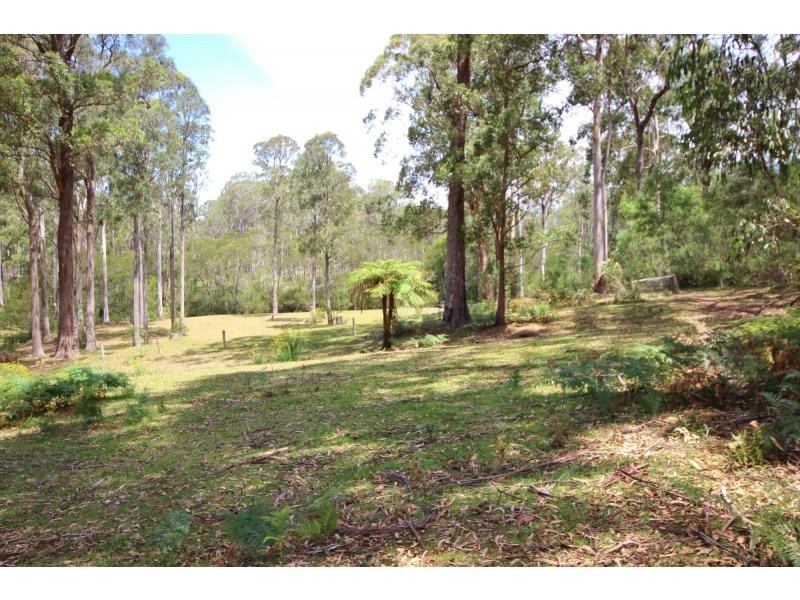 313 Back Creek Road, Nethercote NSW 2549