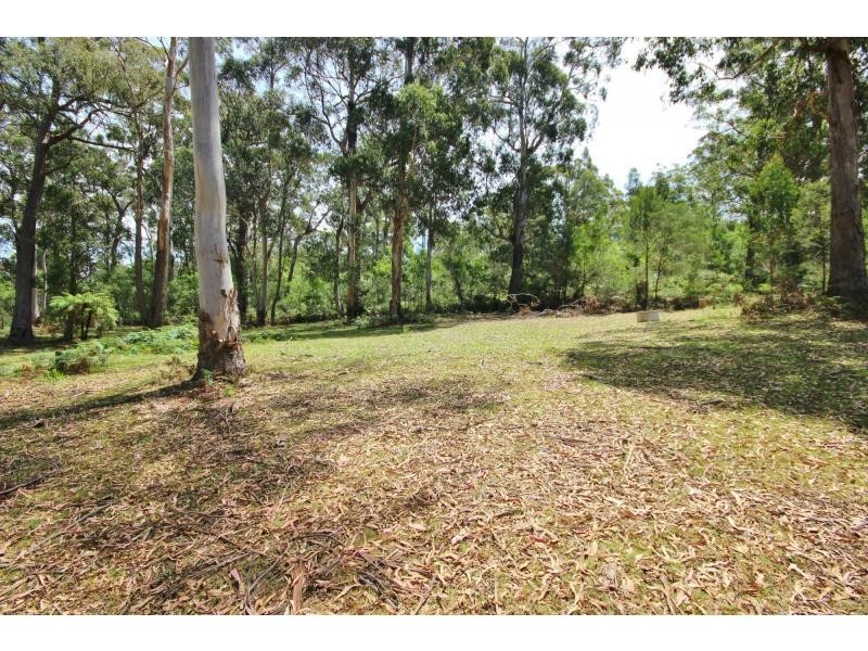313 Back Creek Road, Nethercote NSW 2549