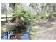 313 Back Creek Road, Nethercote NSW 2549
