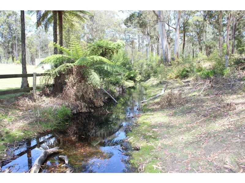 313 Back Creek Road, Nethercote NSW 2549