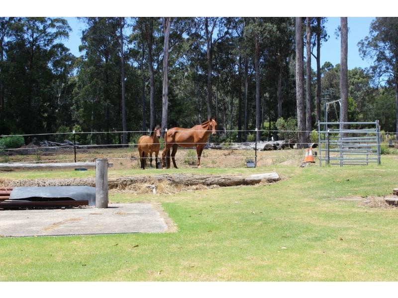313 Back Creek Road, Nethercote NSW 2549