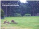 4 King Place, Eden NSW 2551