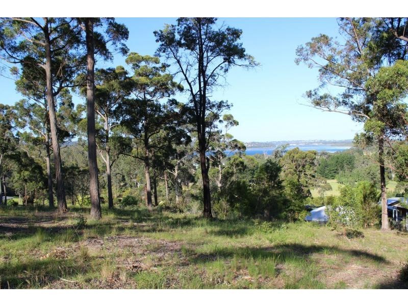 Lot 14 Stringybark Place, Millingandi NSW 2549