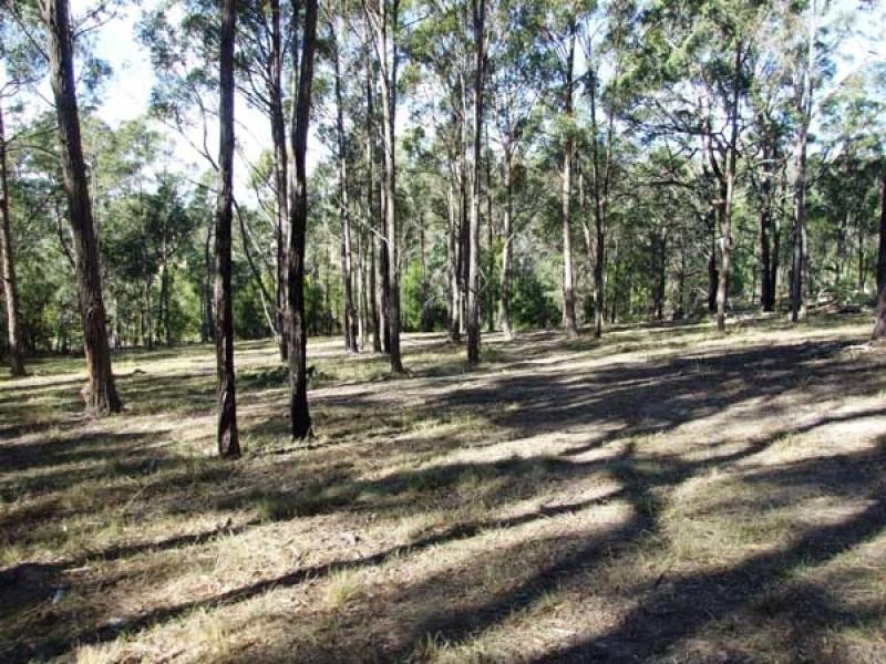 Lot 1 Boggy Creek Road, Millingandi NSW 2549