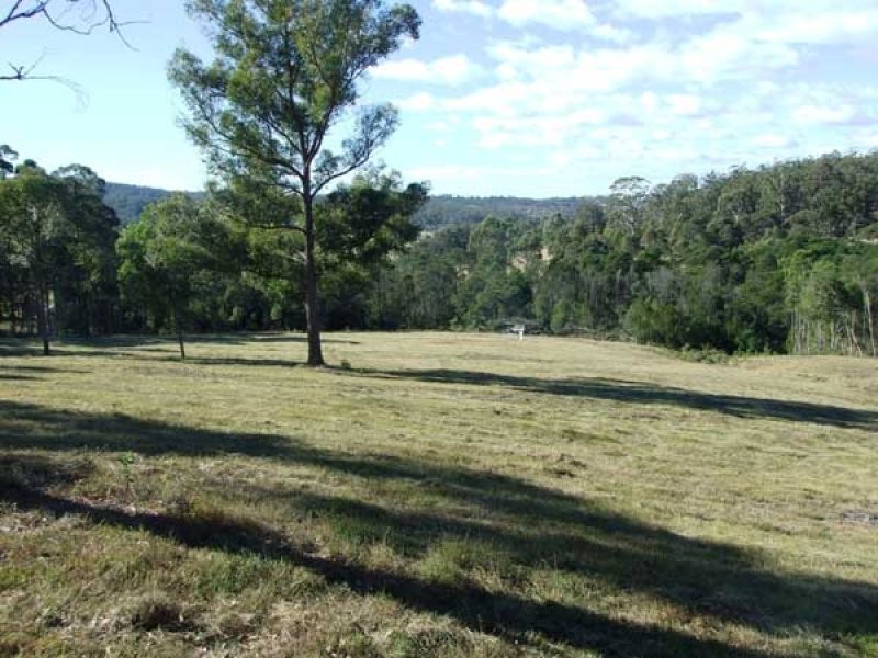 Lot 3 Boggy Creek Road, Millingandi NSW 2549