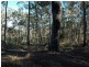 Lot 13 Burragate Road, Wyndham NSW 2550