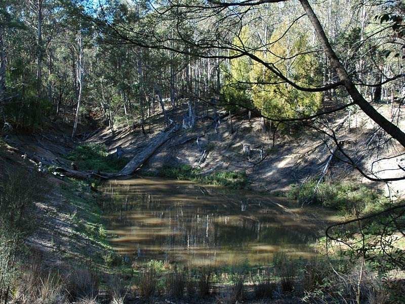 Lot 13 Burragate Road, Wyndham NSW 2550