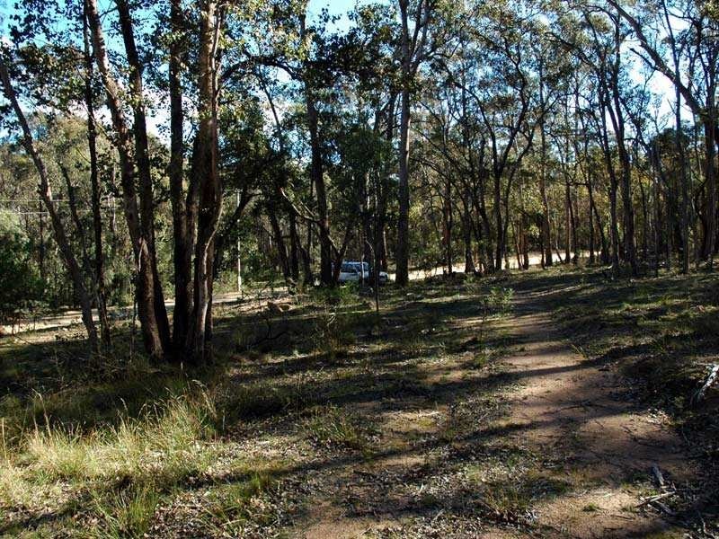 Lot 13 Burragate Road, Wyndham NSW 2550