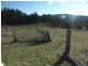 111 Sheepskin Road, Burragate NSW 2550