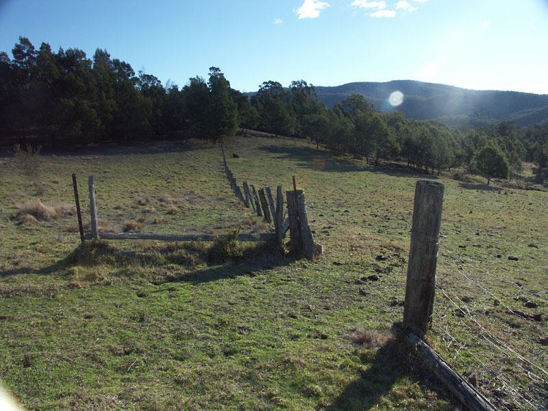 111 Sheepskin Road, Burragate NSW 2550
