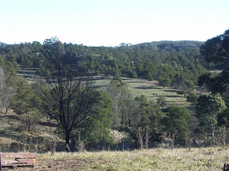 111 Sheepskin Road, Burragate NSW 2550
