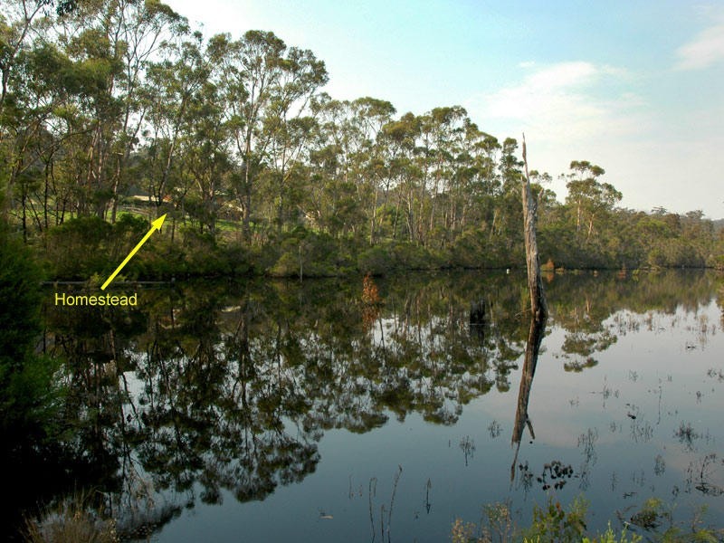 Lot 1551 Sapphire Coast Drive, Merimbula NSW 2548