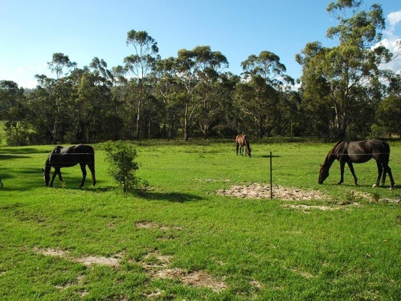 Lot 1551 Sapphire Coast Drive, Merimbula NSW 2548