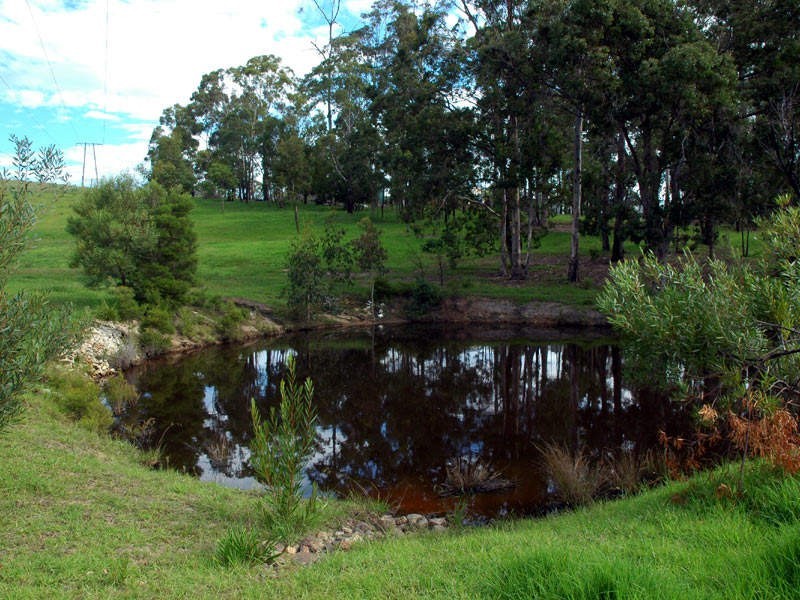 36 Walsh Close, Wolumla NSW 2550