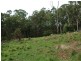 Lot 241 Florabunda Lane, Nethercote NSW 2549