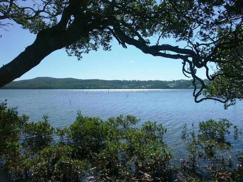 Lot 281 Green Point Road, Millingandi NSW 2549