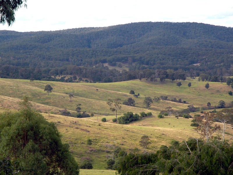 333 Upper Boggy Creek Road, Millingandi NSW 2549