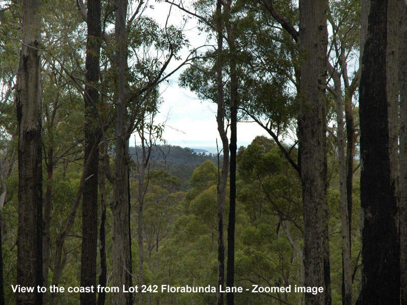 Lot 242 Florabunda Lane, Nethercote NSW 2549