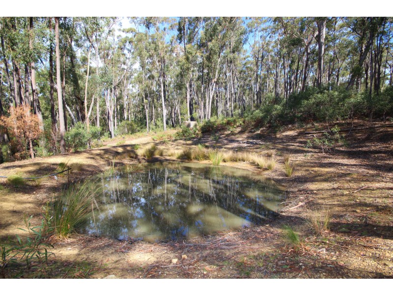 40 Florabunda Lane, Nethercote NSW 2549