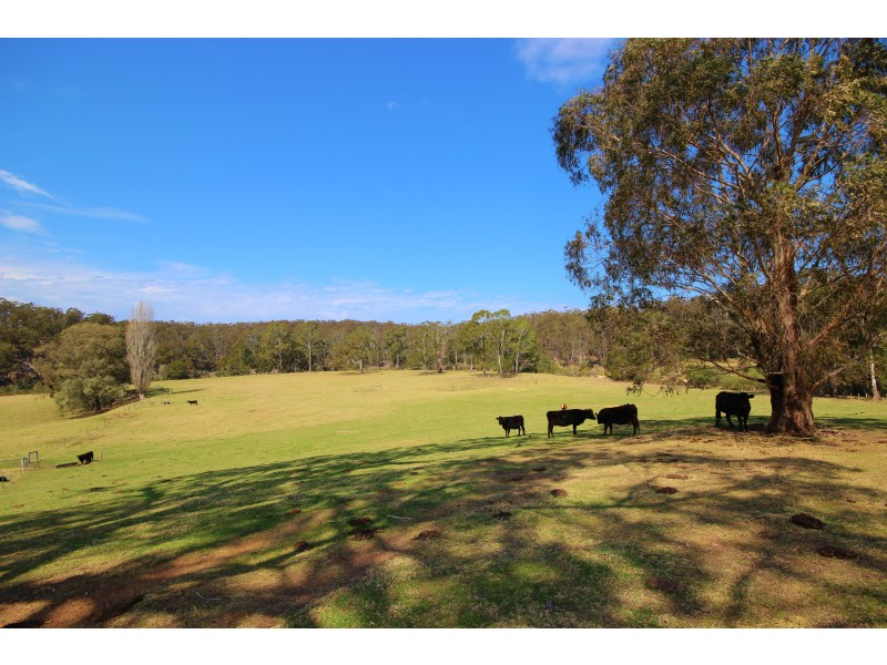 4 Jim McMahon Dr, Eden NSW 2551
