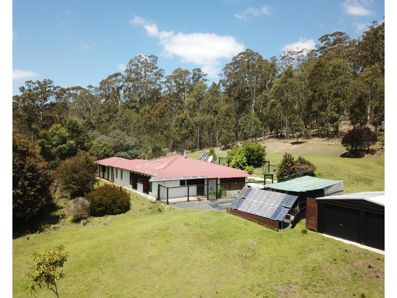 535 Devils Hole Rd, Wyndham NSW 2550