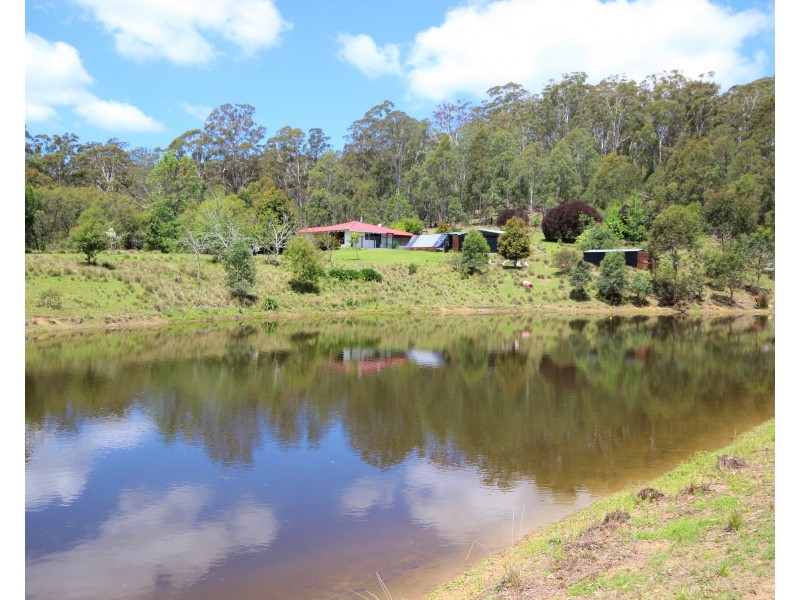 535 Devils Hole Rd, Wyndham NSW 2550