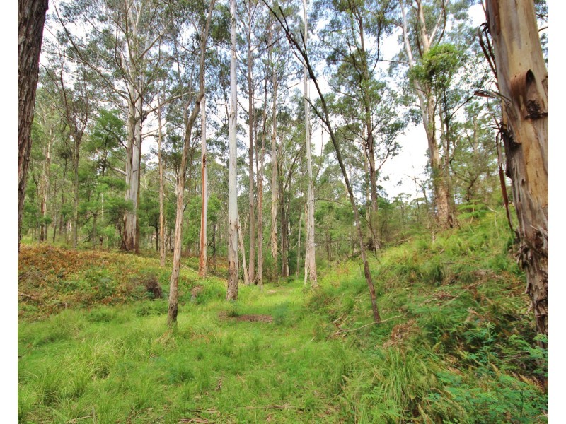 3739 Snowy Mountains Hwy, Bemboka NSW 2550