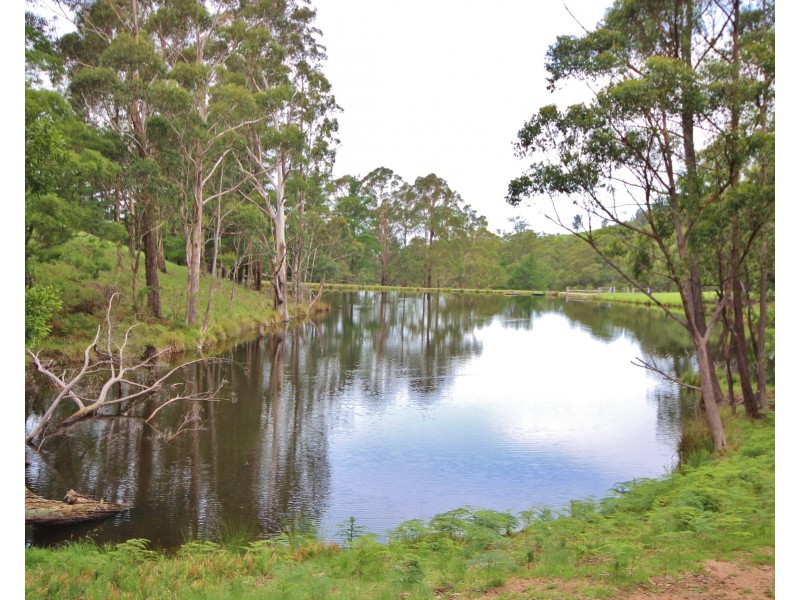 3739 Snowy Mountains Hwy, Bemboka NSW 2550