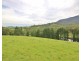 3739 Snowy Mountains Hwy, Bemboka NSW 2550