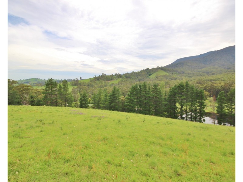 3739 Snowy Mountains Hwy, Bemboka NSW 2550