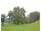 3739 Snowy Mountains Hwy, Bemboka NSW 2550