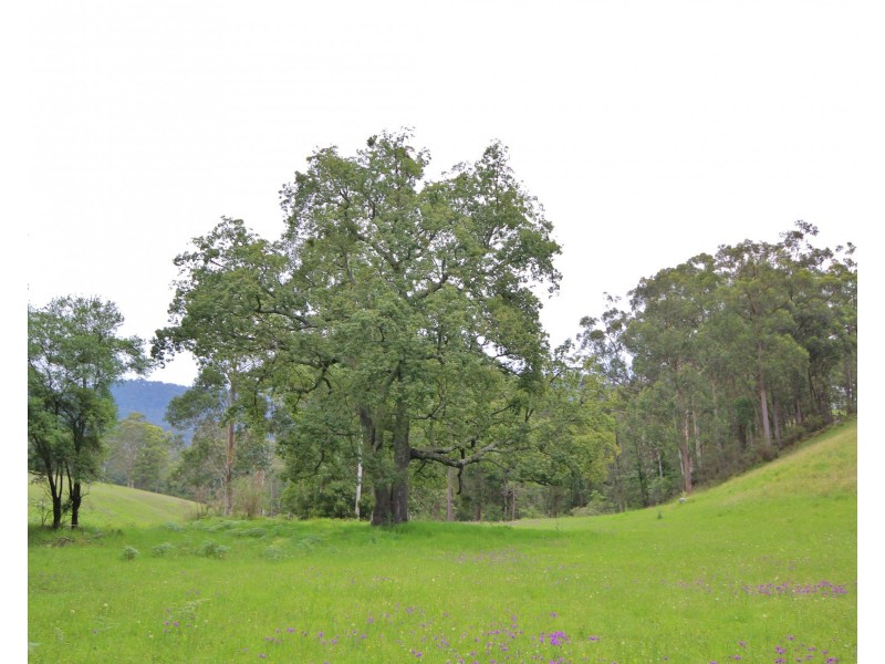 3739 Snowy Mountains Hwy, Bemboka NSW 2550