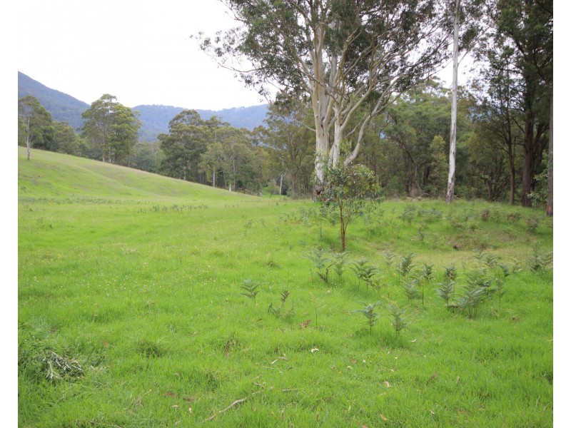 3739 Snowy Mountains Hwy, Bemboka NSW 2550