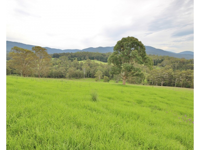 3739 Snowy Mountains Hwy, Bemboka NSW 2550