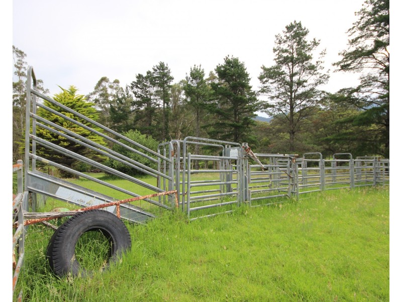 3739 Snowy Mountains Hwy, Bemboka NSW 2550