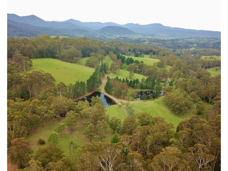 3739 Snowy Mountains Hwy, Bemboka NSW 2550