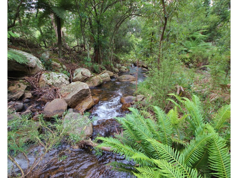 3739 Snowy Mountains Hwy, Bemboka NSW 2550