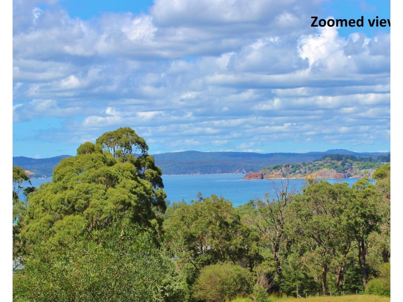 20 Trumpeter Ave, Eden NSW 2551