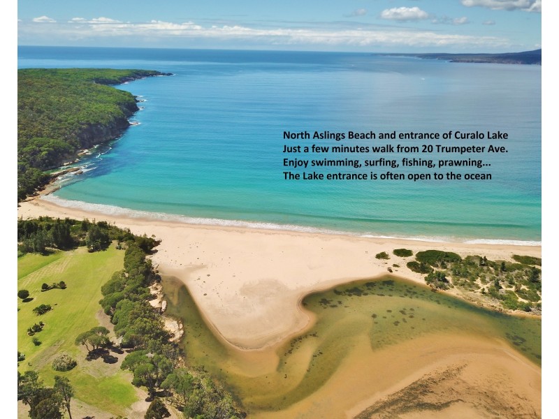 20 Trumpeter Ave, Eden NSW 2551