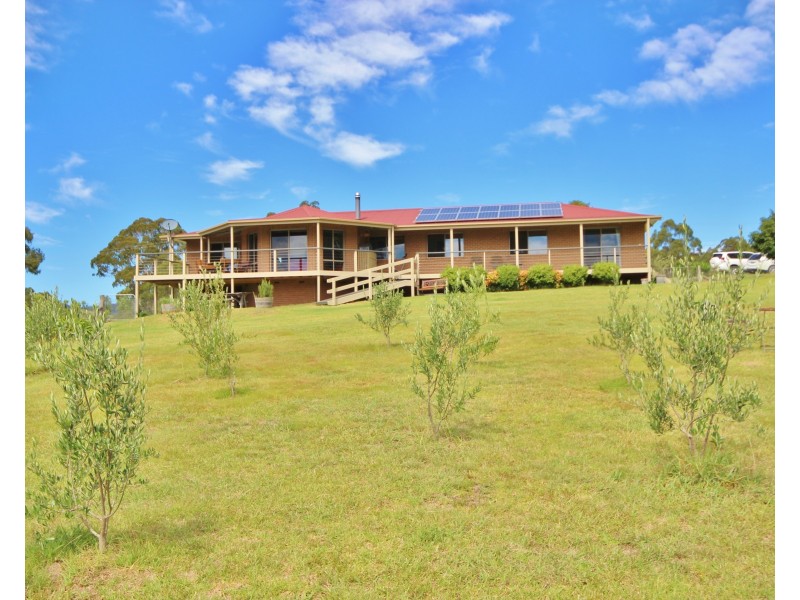907 Nethercote Rd, Nethercote NSW 2549