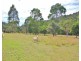 907 Nethercote Rd, Nethercote NSW 2549
