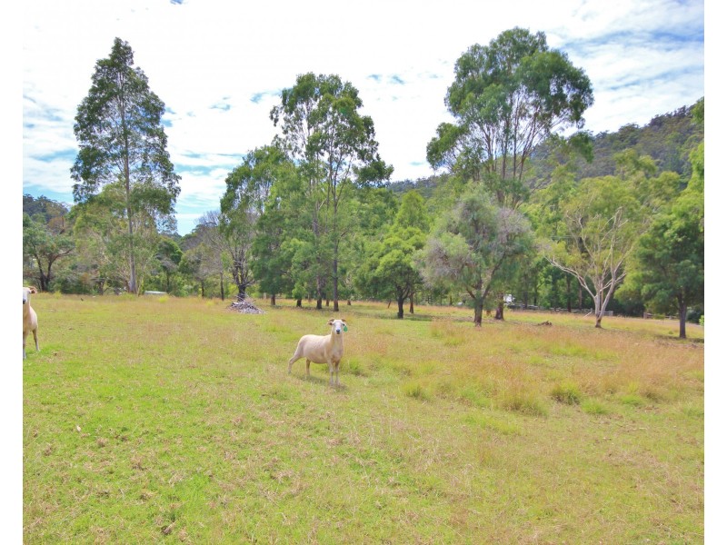 907 Nethercote Rd, Nethercote NSW 2549