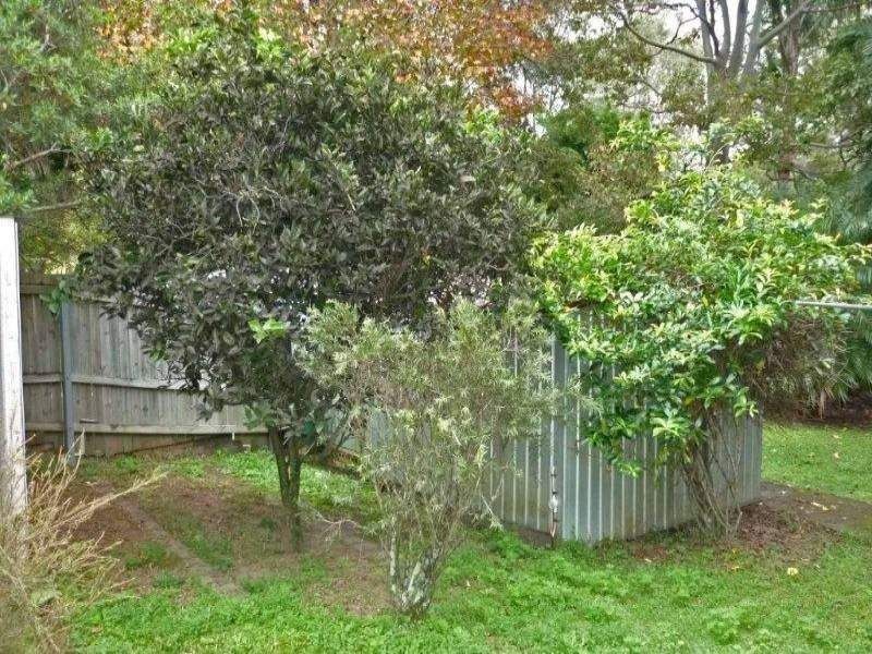 Lot 1 North Street, Beerwah QLD 4519