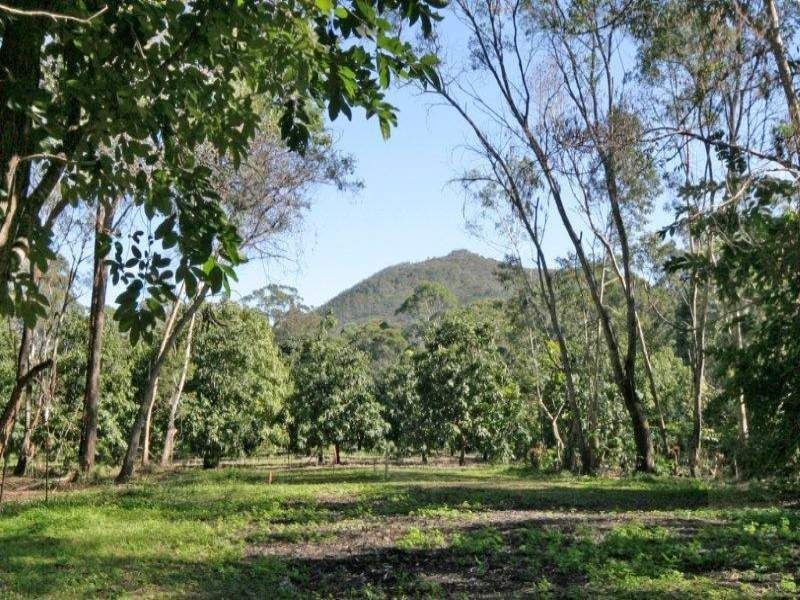 1/197 Lindeman Road, Beerwah QLD 4519