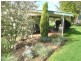 Lot 29 West Street, Bingara NSW 2404